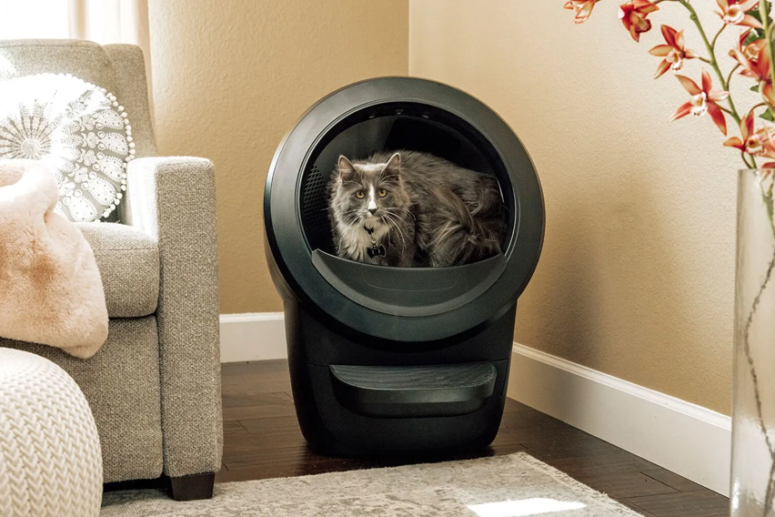 Revolutionizing Pet Care: Litter-Robot.com Leads the Way in Feline Waste Management!